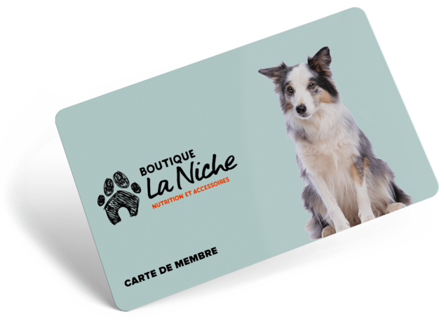 Nutrition et accessoires pour animal de compagnie Boutique La Niche