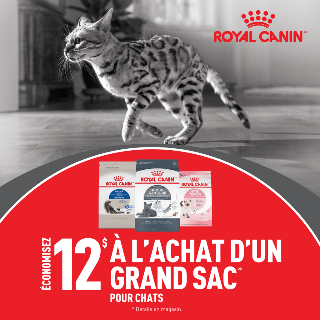 Nutrition et accessoires pour animal de compagnie Boutique La Niche